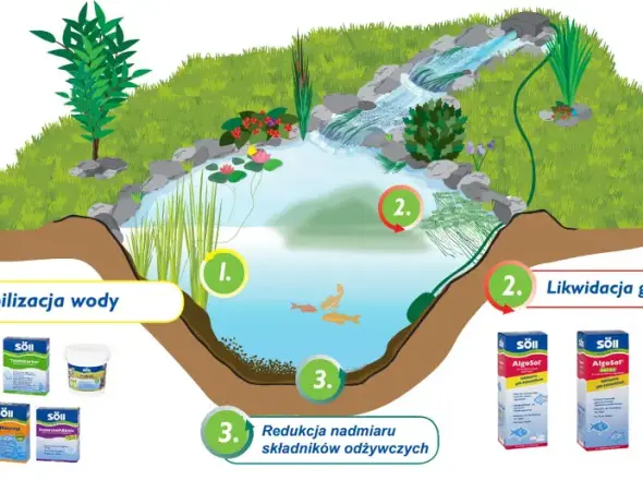 oczko_wodne_rysunek kopia